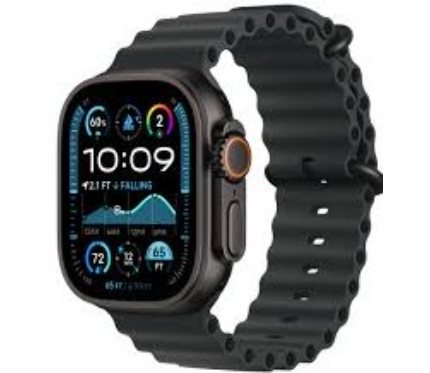 Iphone Accessories Apple Watch Ultra 2 Black Titanium with Black Ocea